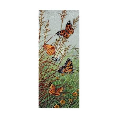 Carol J Rupp 'Golden Butterflies' Canvas Art,10x24